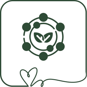 Rich in Antioxidants